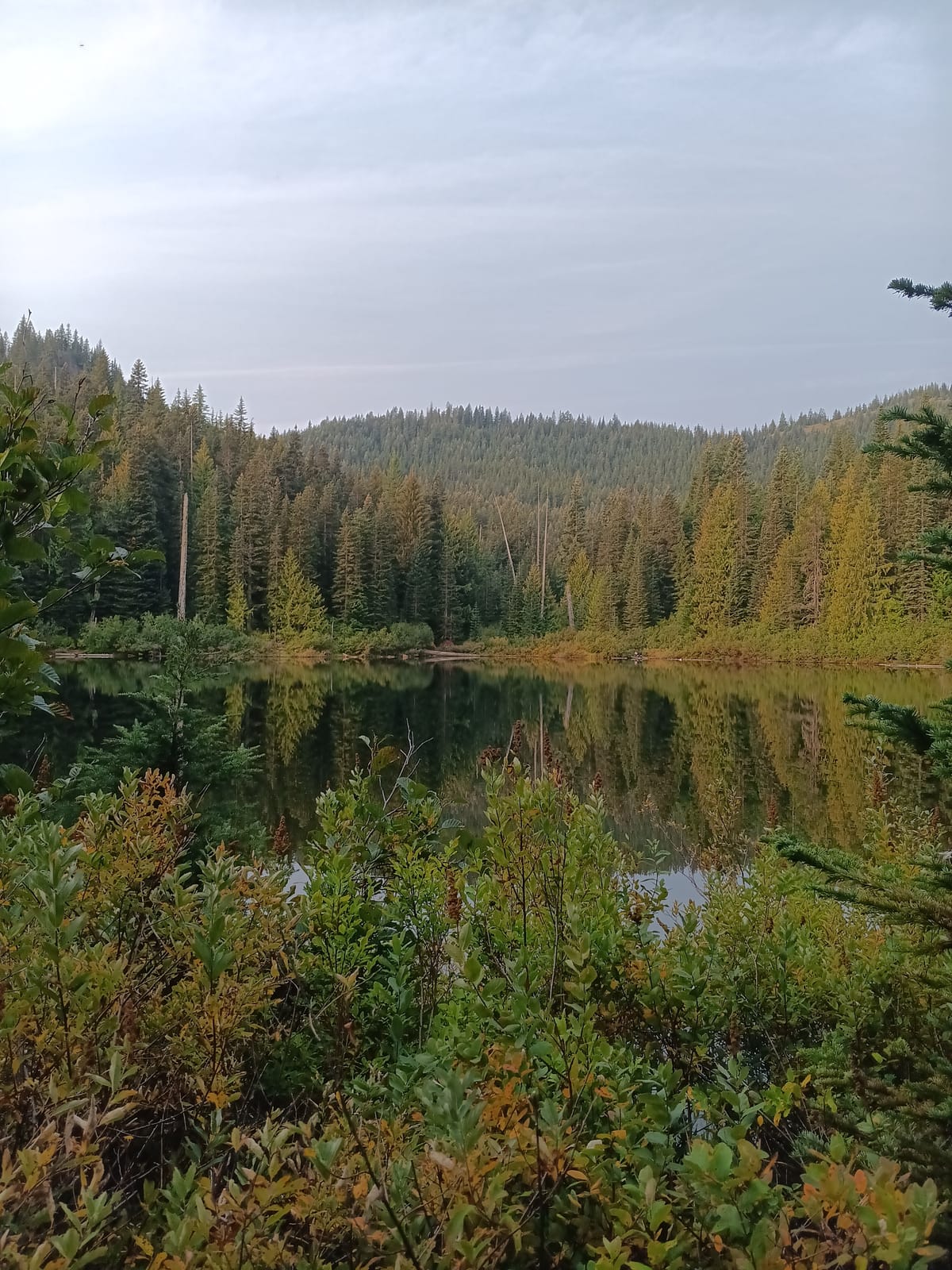 A mountain lake surrounded by trees and shrubs some of which are starting to change color for the fall