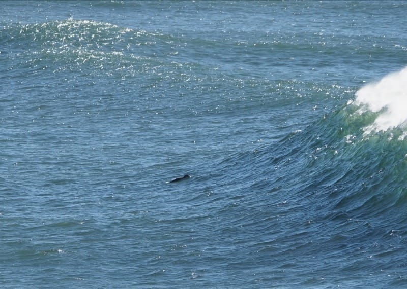 January and how to keep existing in this mess