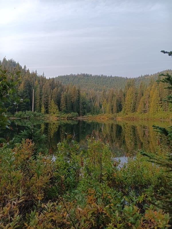 A mountain lake surrounded by trees and shrubs some of which are starting to change color for the fall